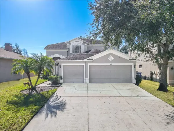 1717 Mapleleaf Boulevard, OLDSMAR, FL 34677