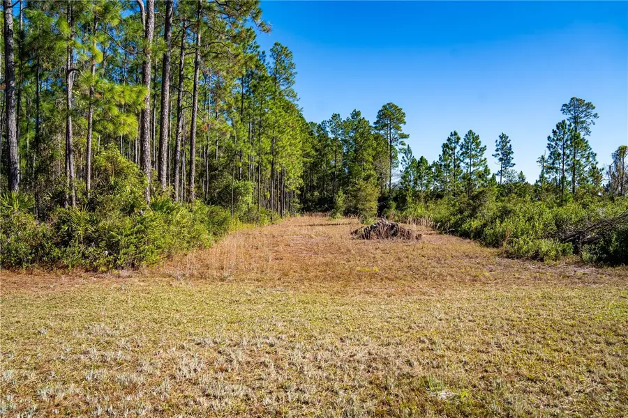 101 Thyme Drive, Interlachen, FL 32148 - Image #2