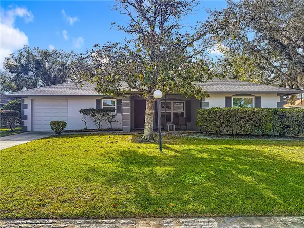 28632 Tanner Drive, WESLEY CHAPEL, FL 33543