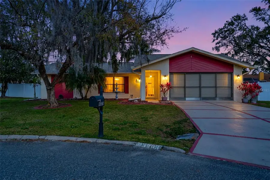 23209 Blue Ridge Place, Land O Lakes, FL 34639 - Image #2