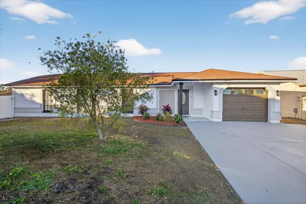 9501 Drakemill Court, TAMPA, FL 33615