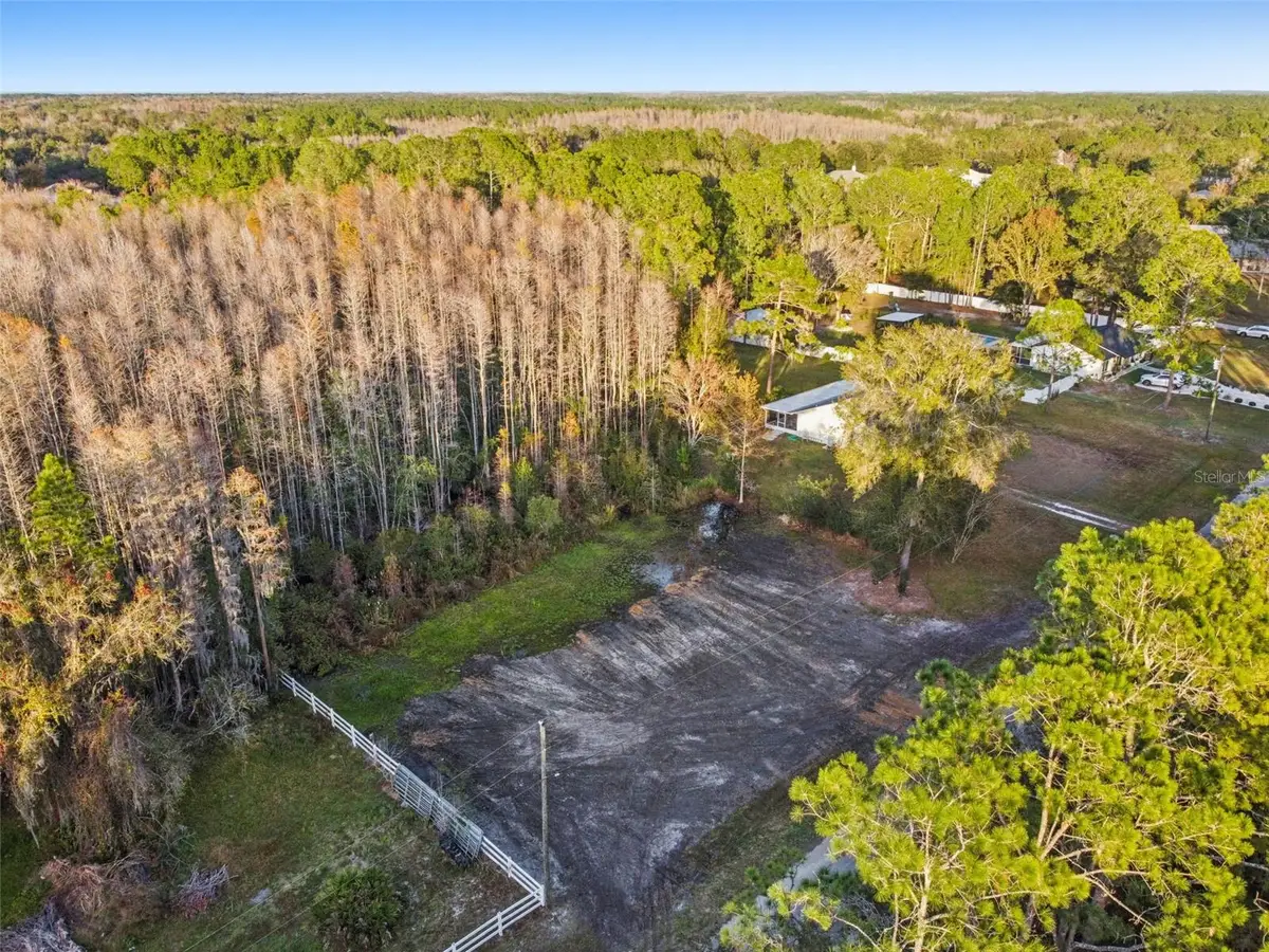 26305 Bluestripe Drive, Wesley Chapel, FL 33544 - Image #1