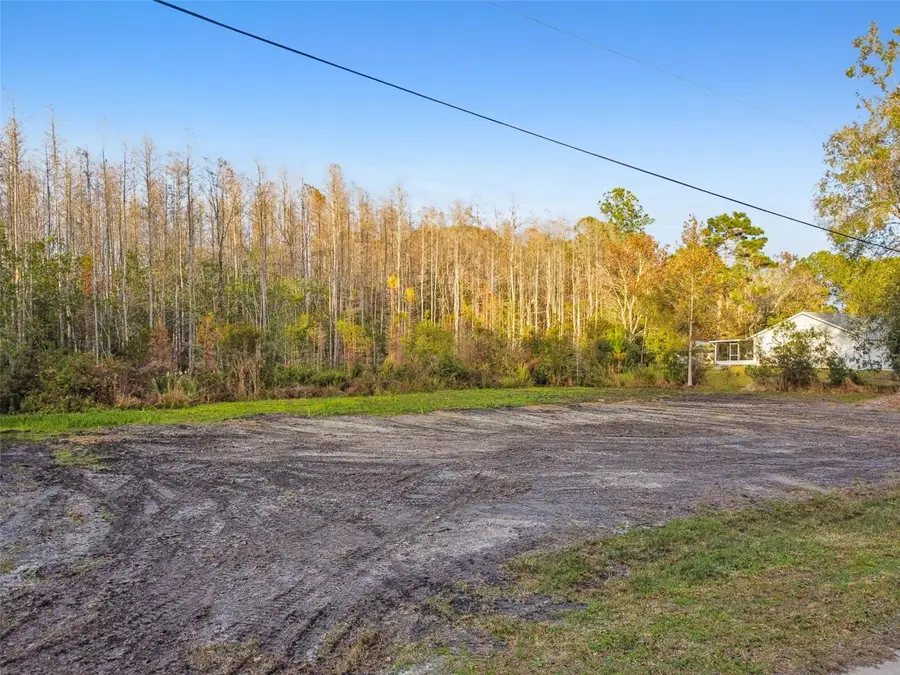 26305 Bluestripe Drive, Wesley Chapel, FL 33544 - Image #2