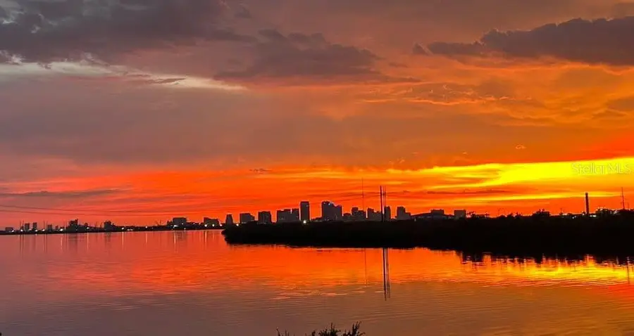 842 Tennyson Mill Circle, Tampa, FL 33619 - Image #3