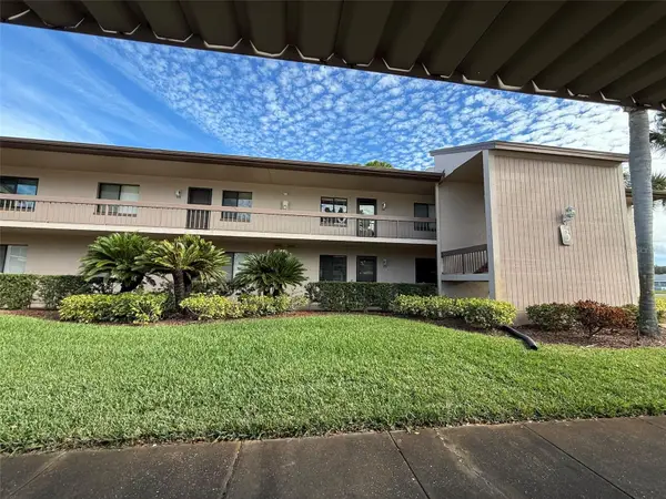 229 Mary Drive #45, OLDSMAR, FL 34677