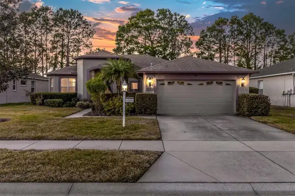 1553 Morning Rose Place, TRINITY, FL 34655