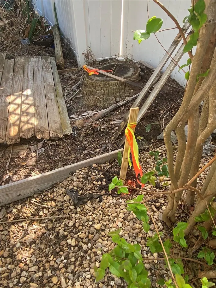 121 13th Avenue, Indian Rocks Beach, FL 33785 - #2