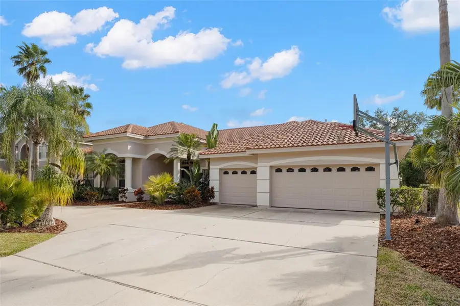 3830 Moreno Drive, Palm Harbor, FL 34685 - Image #3