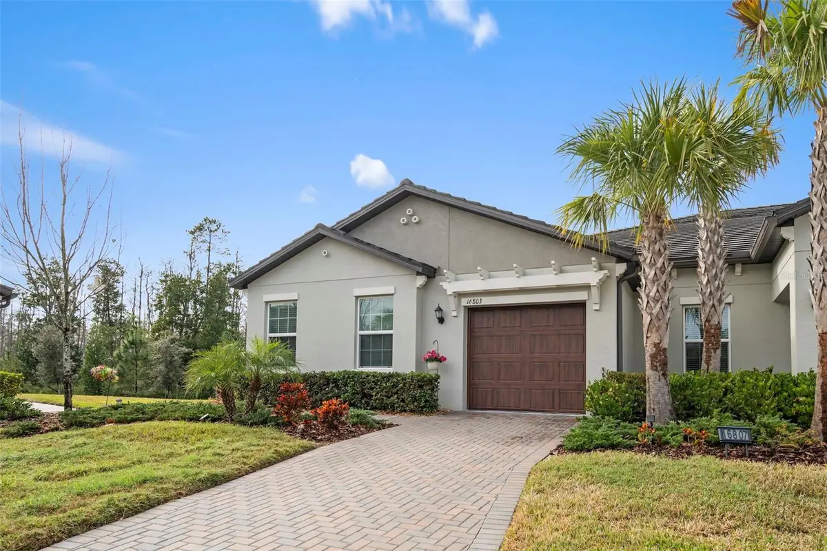 16803 Forge Surf Street, Land O Lakes, FL 34638 - Image #1