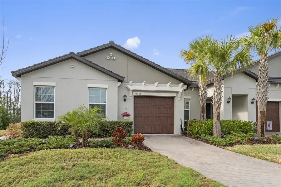 16803 Forge Surf Street, Land O Lakes, FL 34638 - Image #2