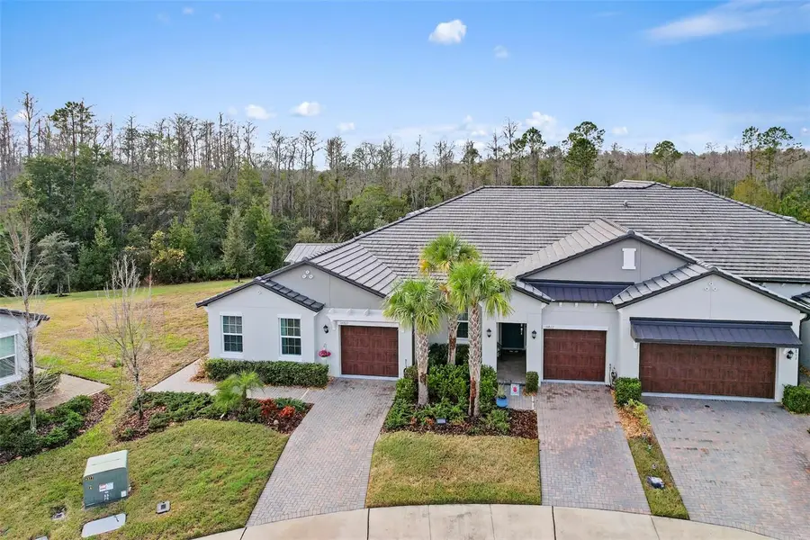 16803 Forge Surf Street, Land O Lakes, FL 34638 - Image #3