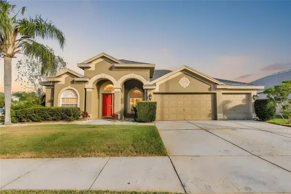 11709 Stonewood Gate Drive, RIVERVIEW, FL 33579