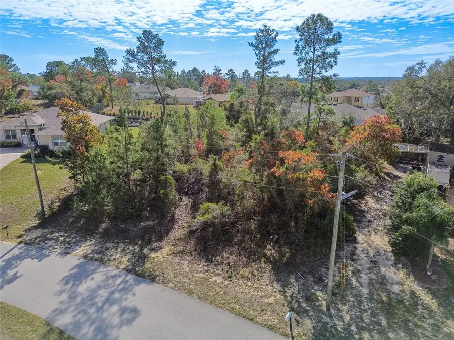 13014 Hanley Drive, Spring Hill, FL 34609 - Image #2