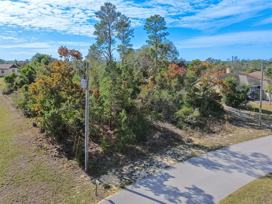 13014 Hanley Drive, Spring Hill, FL 34609 - Image #3