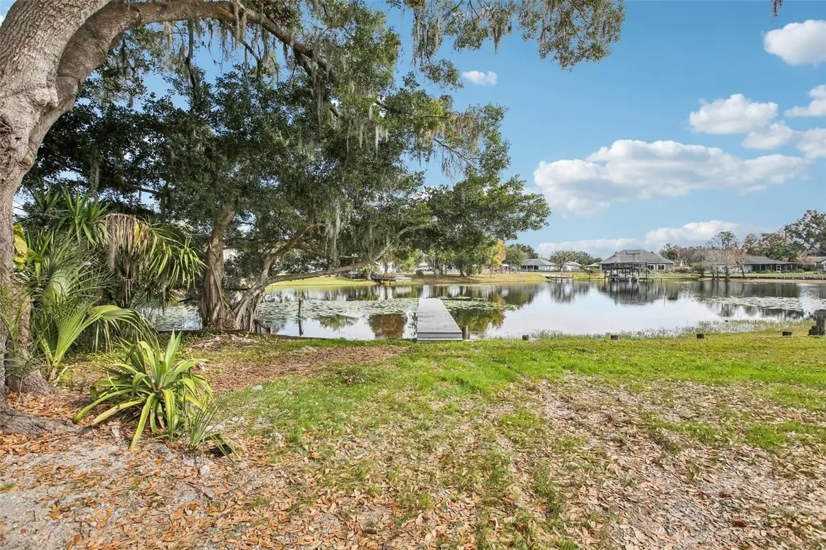 3120 Pine Shadow Drive, Land O Lakes, FL 34639 - Image #1