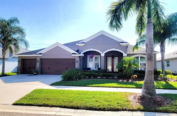 13631 Artesa Bell Drive, RIVERVIEW, FL 33579