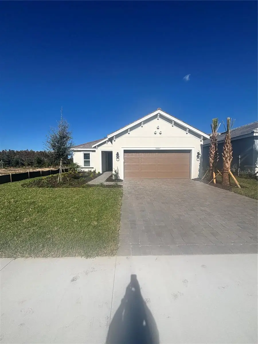 30087 Imperati Boulevard, Wesley Chapel, FL 33543 - Image #2