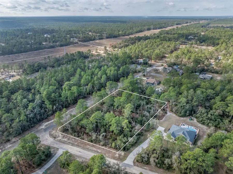 7082 N Treehaven Terrace, Citrus Springs, FL 34433 - Image #3