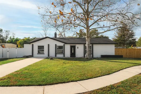 3206 Las Brisas Drive, RIVERVIEW, FL 33578