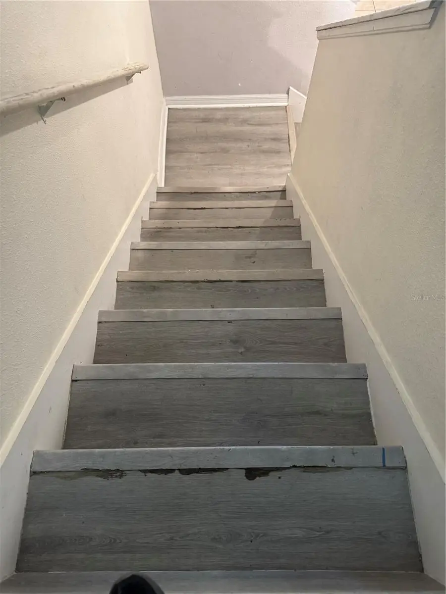 3217 Pleasant Willow Court, Brandon, FL 33511 - Image #3