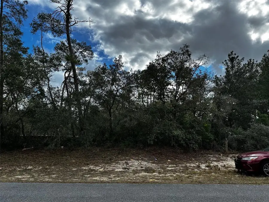 Sw 168th Loop, Ocala, FL 34473 - Image #3