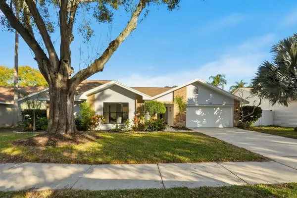 1110 Woodcrest Avenue, SAFETY HARBOR, FL 34695