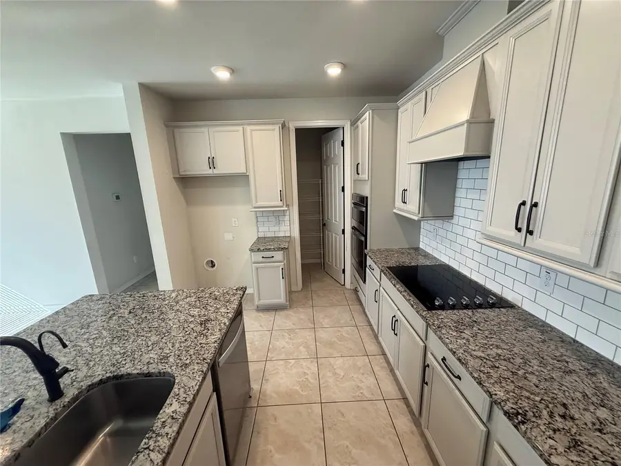 5186 Turtle Bay Drive, Wesley Chapel, FL 33545 - Image #3