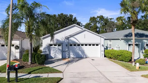 20907 Tangor Road, LAND O LAKES, FL 34637
