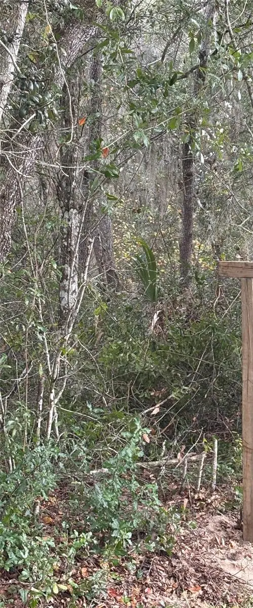 5670 West Street, De Leon Springs, FL 32130 - Image #1