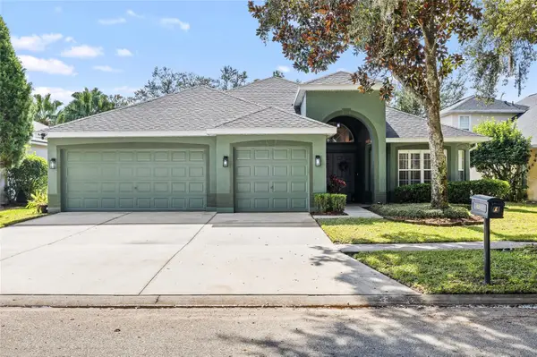 6216 Whimbrelwood Drive, LITHIA, FL 33547