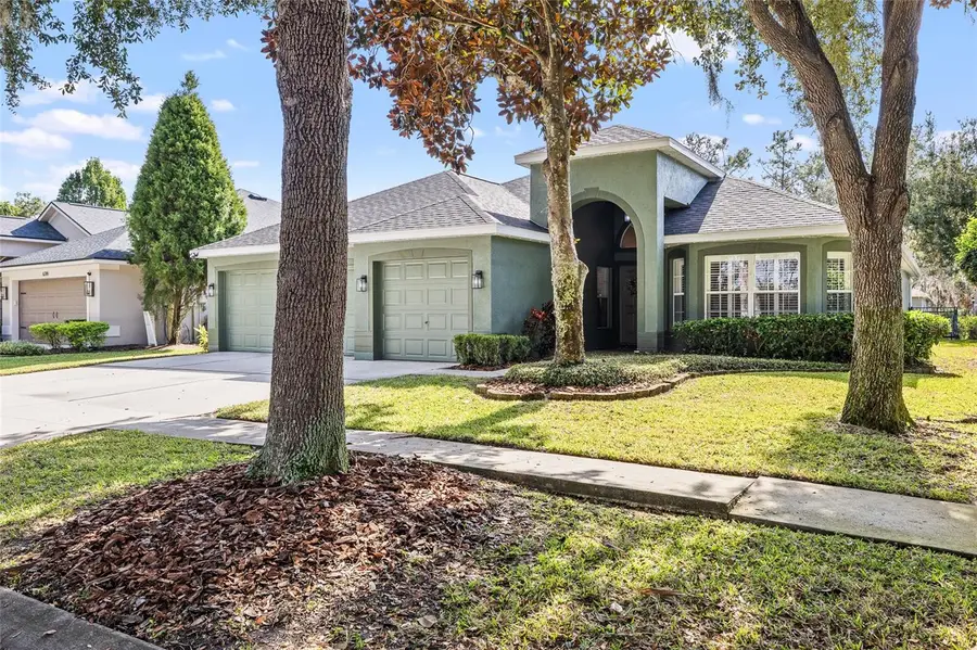 6216 Whimbrelwood Drive, Lithia, FL 33547 - Image #3