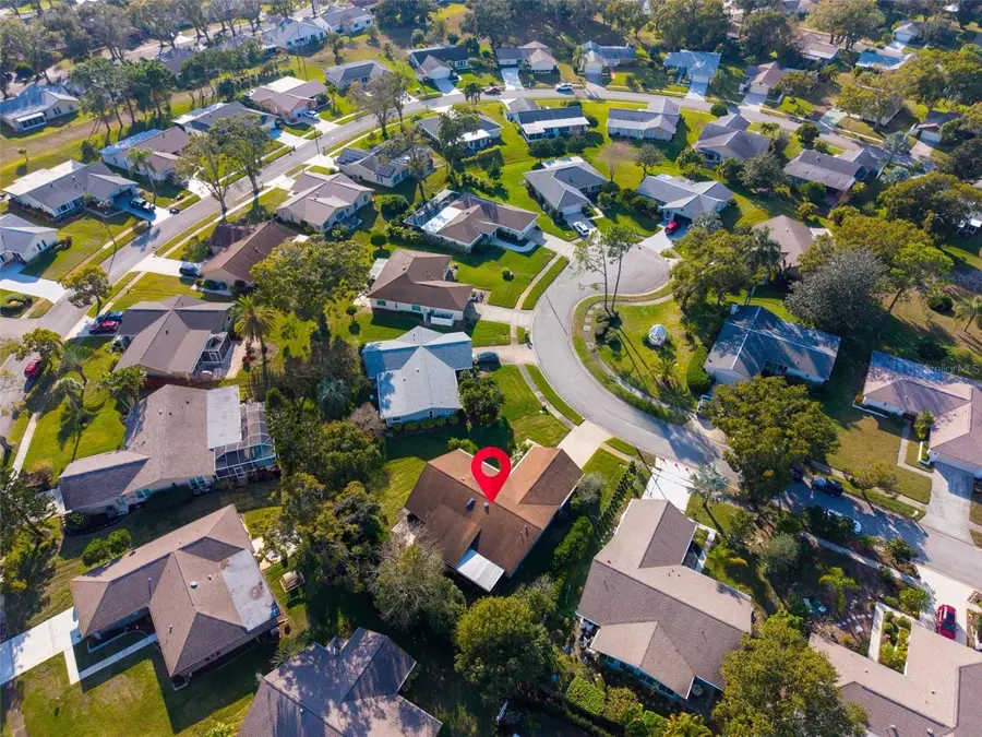 1658 Macdonnell Court, Palm Harbor, FL 34684 - Image #2