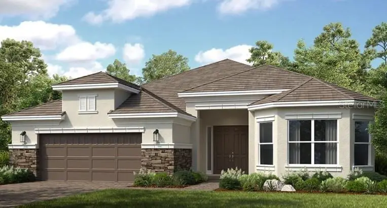 29644 Imperati Boulevard, Wesley Chapel, FL 33543 - Image #1