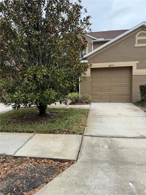 18919 Duquesne Drive, TAMPA, FL 33647