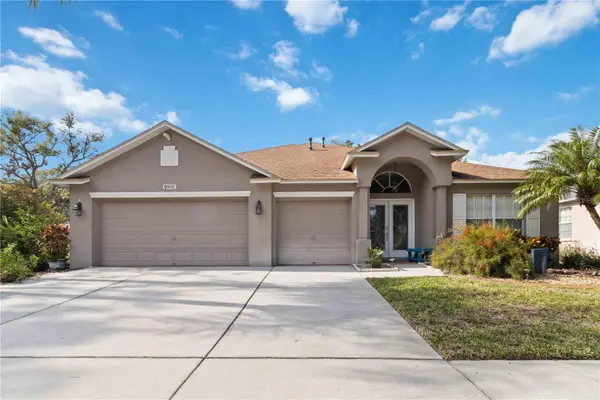 8950 Aberdeen Creek Circle, RIVERVIEW, FL 33569