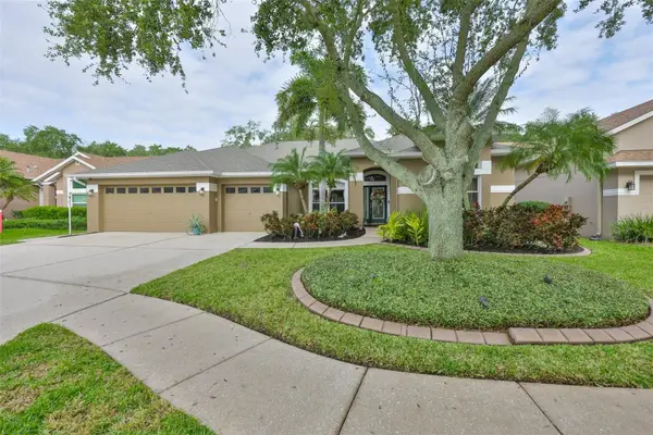 7260 Bucks Ford Drive, RIVERVIEW, FL 33578