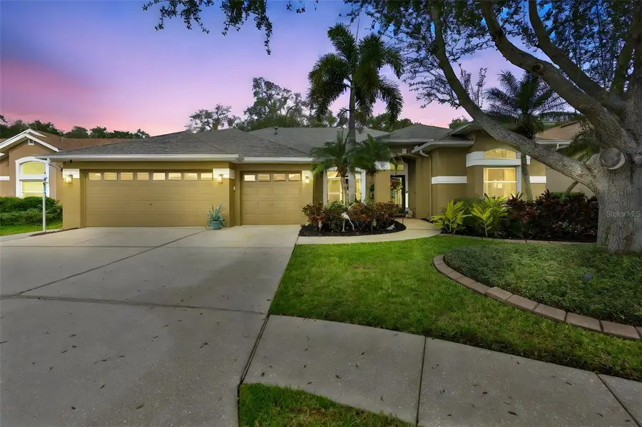 7260 Bucks Ford Drive, Riverview, FL 33578 - Image #2