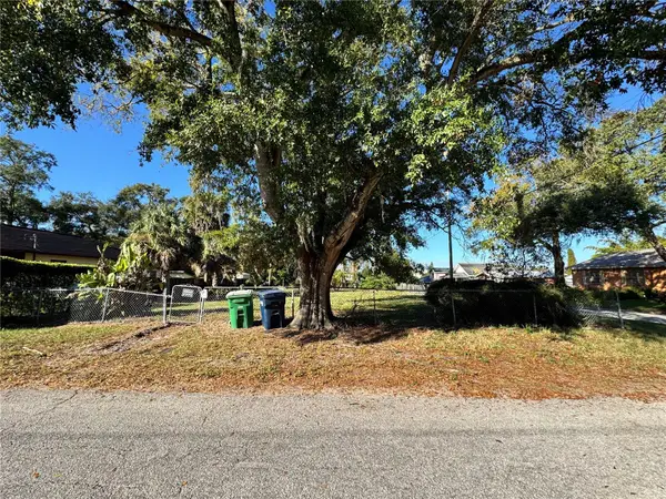 4208 N Branch Avenue, TAMPA, FL 33603