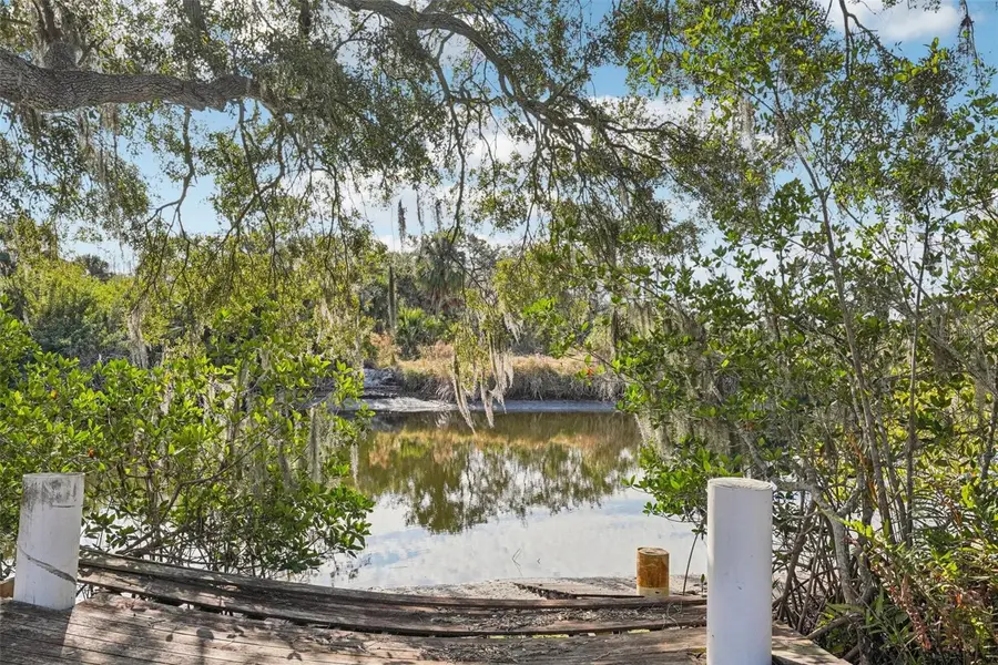 10826 Twin Palms Ranch Road, Gibsonton, FL 33534 - #2