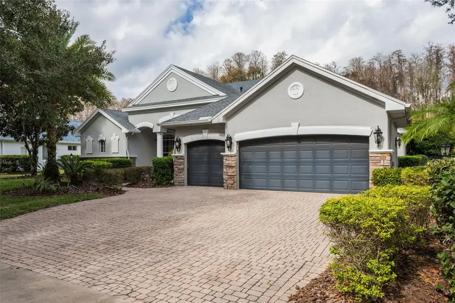 21111 Lake Vienna Drive, Land O Lakes, FL 34638 - Image #2