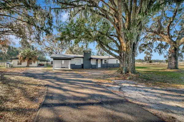 4111 E Knights Griffin Road, PLANT CITY, FL 33565