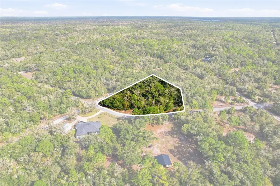 9659 N Cacalia Drive, Crystal River, FL 34428 - Image #2