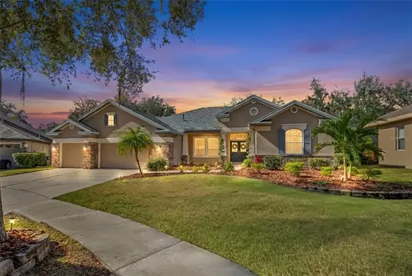 15321 Vireoglen Lane, LITHIA, FL 33547