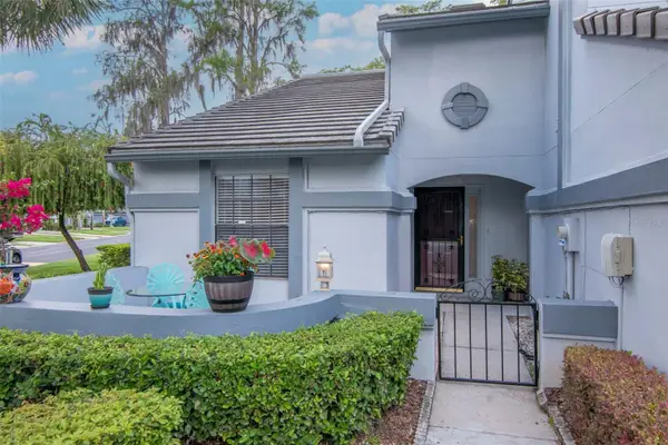 4234 Brentwood Park Circle, TAMPA, FL 33624