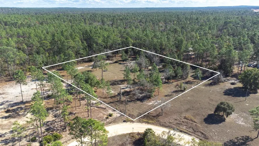 5555 N Muslin Terrace, Dunnellon, FL 34433 - Image #3