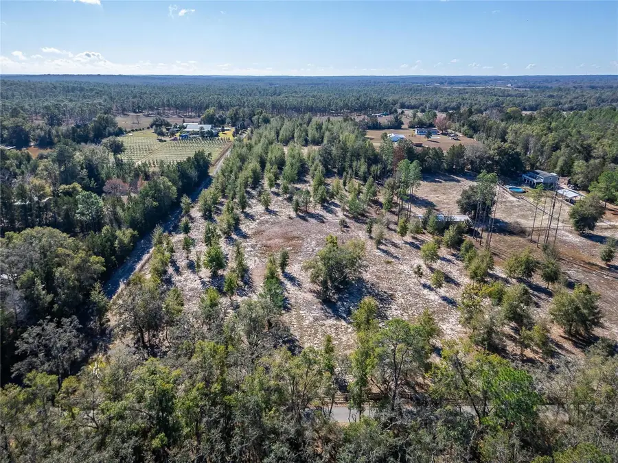 Root Rd, Brooksville, FL 34601 - Image #2