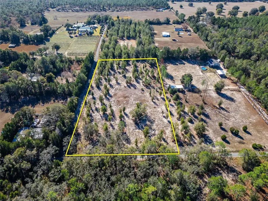 Root Rd, Brooksville, FL 34601 - Image #3