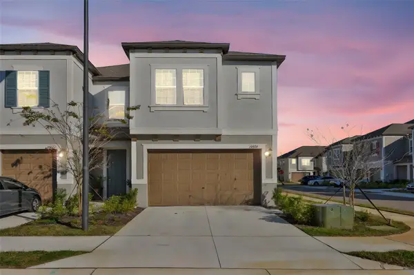 10824 Fanning Springs Court, TAMPA, FL 33647