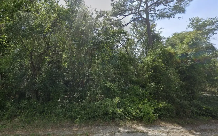 Bruin Dr, New Port Richey, FL 34654 - Image #3