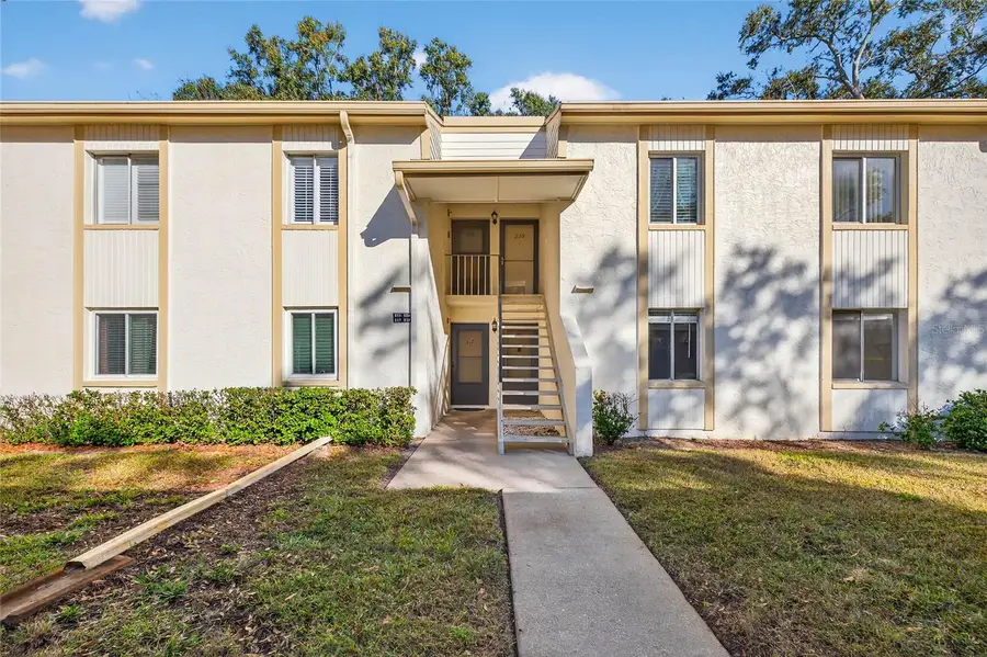 219 Palmetto Court #219, Oldsmar, FL 34677 - Image #3